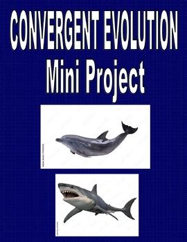 Convergent Evolution Example Mini Project By Science Made Fun Tpt