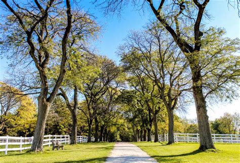 Forest Preserve District Of Dupage County