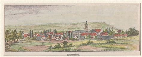 Orig Kolorierter Holzstich Bayern Wiesentheid 1850 Kunst