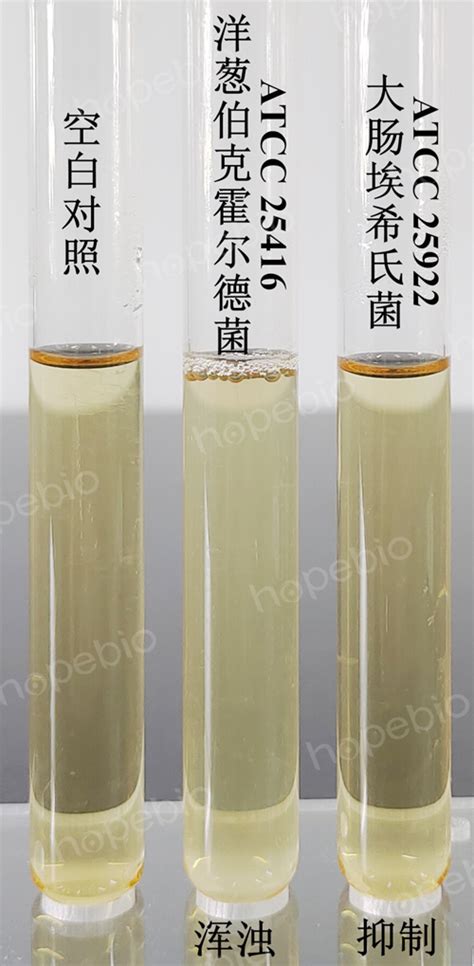 含多粘菌素B的SCDLP增菌液原理和使用方法