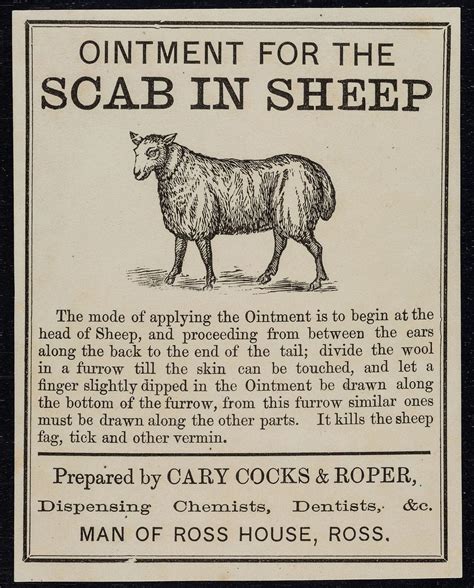 Ointment scab sheep / prepared | Free Photo Illustration - rawpixel