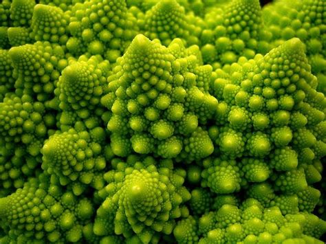 Romanesco Broccoli This Variant Form Of Cauliflower Is The Ultimate