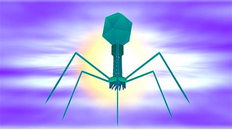 Download Bacteriophage, Virus, Biology. Royalty-Free Stock Illustration ...