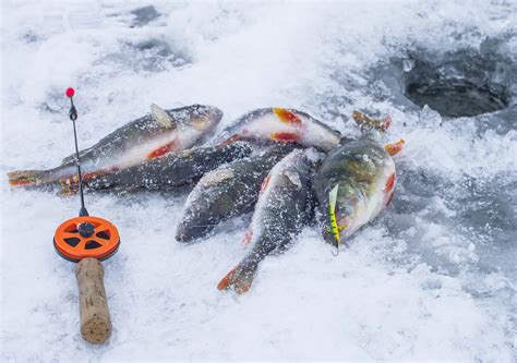 Ice Fishing The Thrifty Whale In Depth Ice Fishing Articles