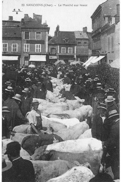 Sancoins Marché aux veaux Carte postale ancienne et vue d Hier et