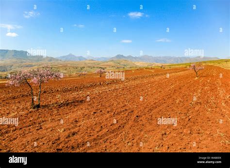 The Amazing Landscape Of Lesotho Stock Photo Alamy