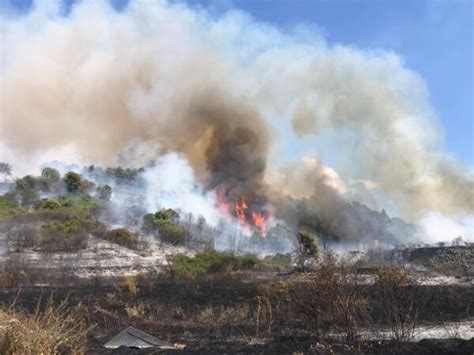 La Tuscia Brucia In Fiamme Diversi Ettari Di Sterpaglie E Campi Coltivati