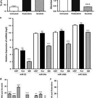 Downregulation Of Mirnas Mir Mir A Mir B And Mir B And