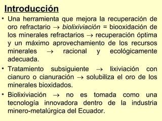 Biohidrometalurgia Ppt