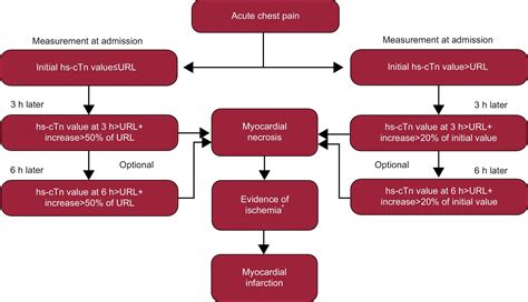 High Sensitivity Cardiac Troponin From Theory To Clinical Practice