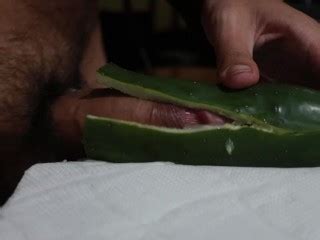 Fucking A Cucumber Pornhub Gay