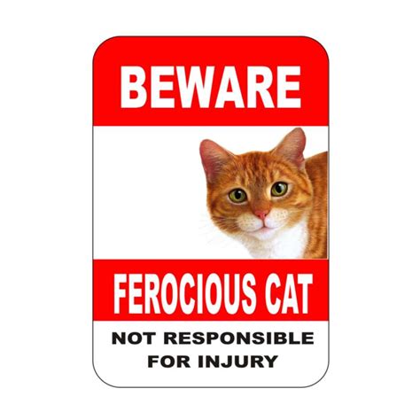 Cat Sign Ferocious Cat Cat Warning Sign Animal Signfunny