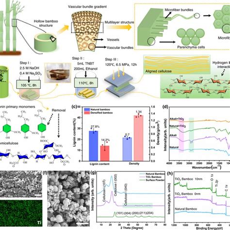 The Preparation And Characterization Of Densified Tio Bamboo A