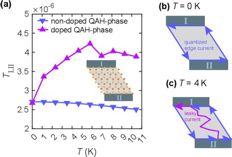 Figure From Phonon And Defect Mediated Quantum Anomalous Hall