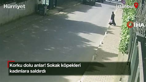 İstanbulda korku dolu anlar Kadınlar sokak köpeği saldırısına uğradı