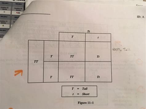 Bio Semester Final Flashcards Quizlet