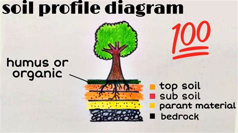 Soil Profile Diagram Drawing How To Draw Layers Of Soil How To Draw