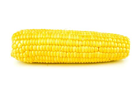 fresh raw corn cob isolated on white background 8015091 Stock Photo at Vecteezy