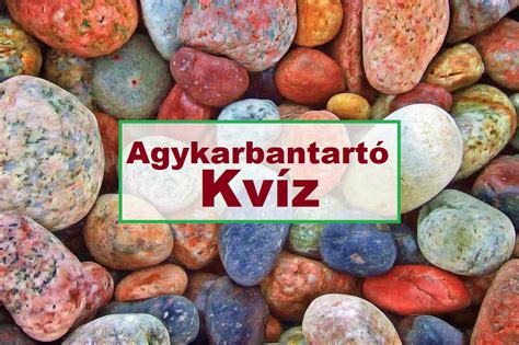 Agykarbantart Kv Z Ez A Friss T Teszt Meg Sem Kottyan Majd