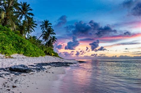 Tropical Beach Free Stock Photo Public Domain Pictures