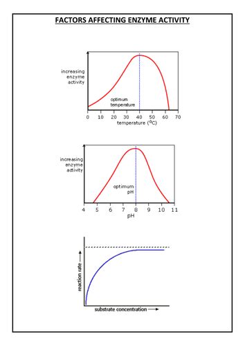 Factors affecting enzyme activity | Teaching Resources