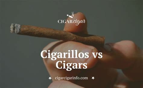 Cigarillos vs Cigars: What's the Difference? | Cigar Cigar