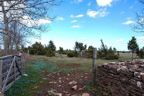 Gate To Nature Stock Photo Download Image Now 2015 Baltic Sea