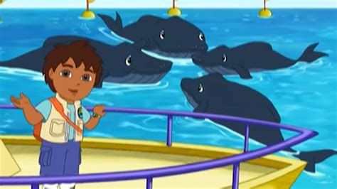 Watch Go, Diego, Go! Season 2 Episode 2 : Diego And Baby Humpback To ...