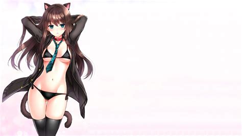 Sexy Anime Cat Girl Wallpaper