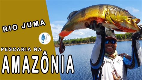 Pescaria De Tucunar S No Rio Juma Amaz Nia Pesca Youtube