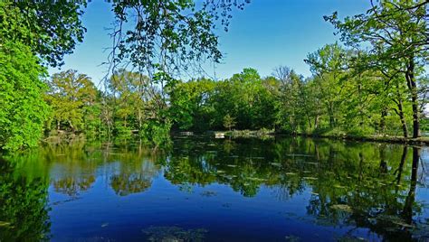 Unterwegs in Nürnbergs grünen Oasen Volkspark Dutzendteich