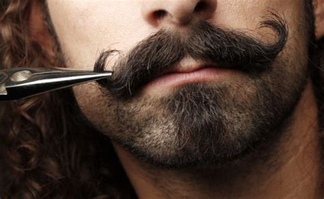 Popular Cowboy Beard Mustache Styles Beard Style