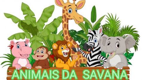 Animais Da SelvaeducaÇÃo Infantilanimais Da Savana Africana 🦓🐮🐅🐘🦍💚