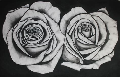 2 Roses Drawing at PaintingValley.com | Explore collection of 2 Roses Drawing