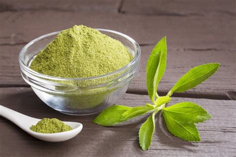 Fresh Green Stevia Herb and Extract Powder - Stevia Rebaudiana. Stock ...