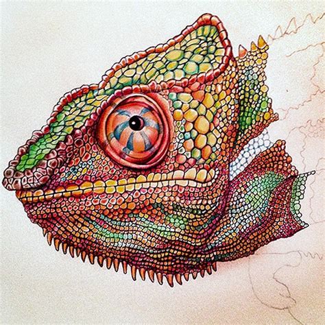 Tim Jeffs Art — Made A Little Progress On My Chameleon Drawing