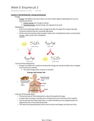 Bios 110 Week 8 Pt 1 Bios 110 Cells And Organism Notes Lecture 1