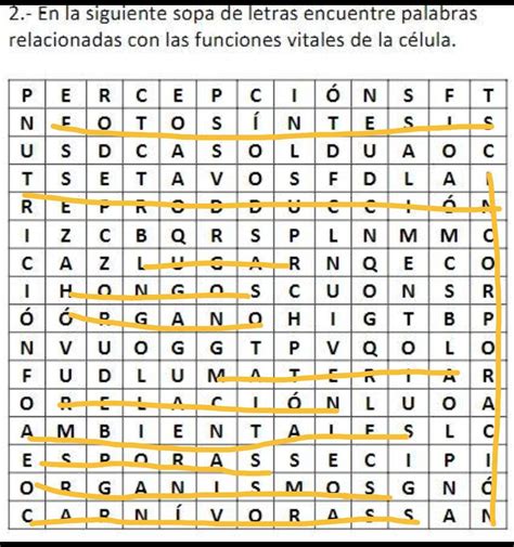 2 En La Siguiente Sopa De Letras Encuentre Palabras Relacionadas Con Las Funciones Vitales De