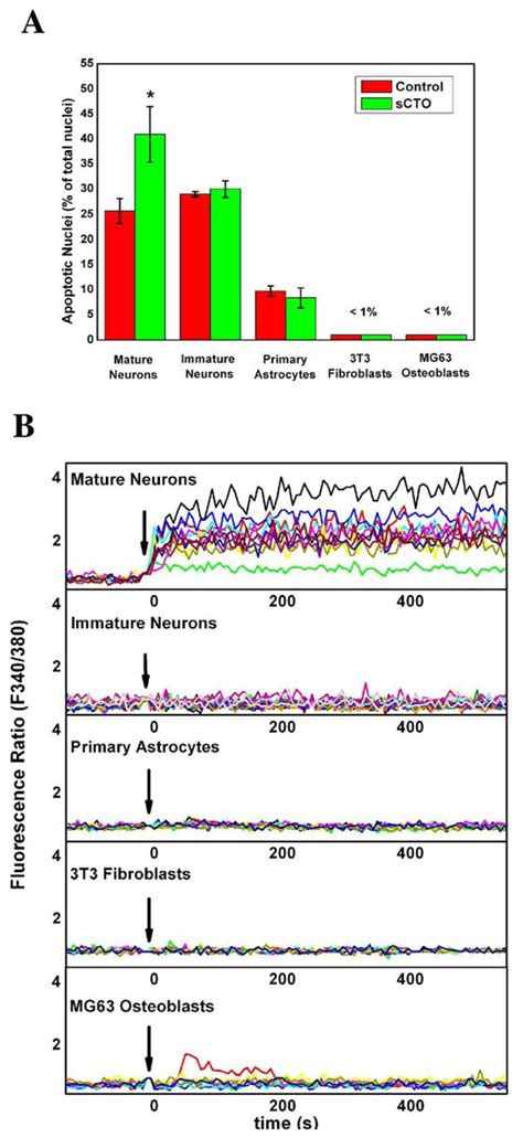 IJMS | Special Issue : Protein Aggregation