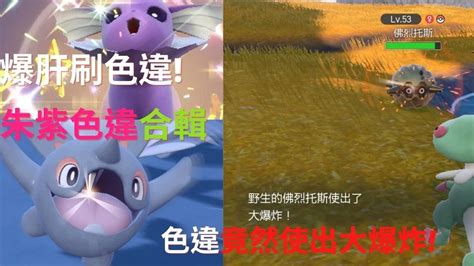 [寶可夢朱紫]沒了音效刷到心累 眼睛痛 朱紫色違合輯ep1 [pokemon Violet]shiny Compilation Ep 1 色違 Shiny 寶可夢朱紫 Youtube