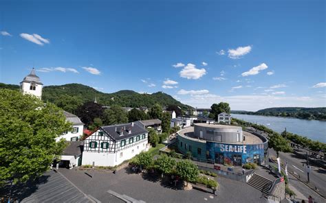 Sea Life Königswinter vor Aus Bürgerdialog soll Zukunft klären