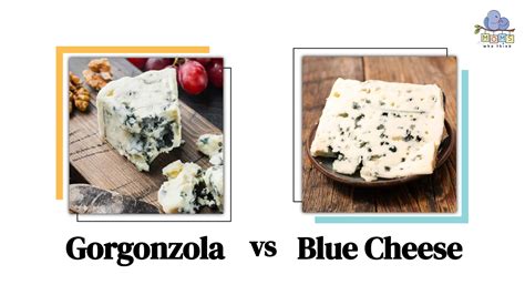 Choosing The Right Blue Cheese Gorgonzola Vs Blue Cheese