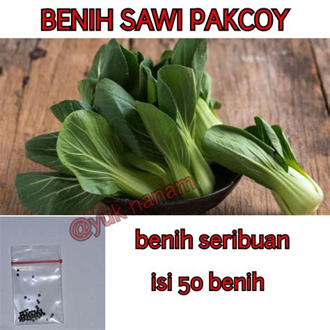 Jual BENIH SAWI PAKCOY POKCOY SERIBUAN Shopee Indonesia