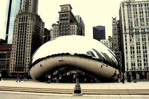 Chicago Bean Chicago Bean W The Reflection Of The Buildin Sasha