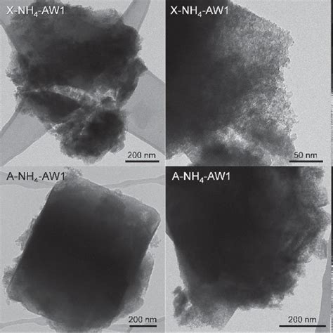 Scanning Electron Micrographs Of Conventional And Hierarchical X And A