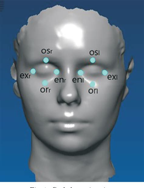 Sex Related Differences In The Orbital Area Of Bulgarians A 3d Laser Scanning Semantic Scholar