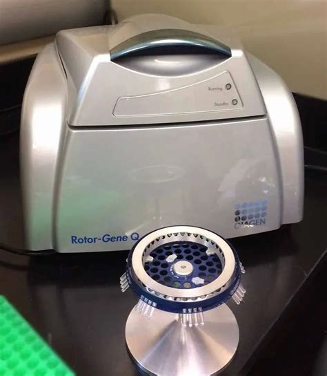 Qiagen Real Time Pcr System Rotor Gene Q At Rs 139000000 In Kolkata