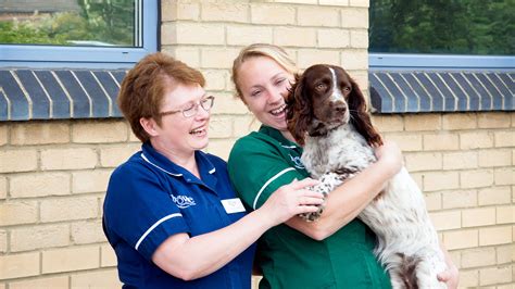 Referral Case Studies | Rowe Veterinary Group - Rowe Vet Group