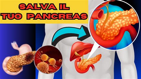 Pancreas Le Vitamine E Gli Alimenti Per Mantenerlo In Salute Youtube