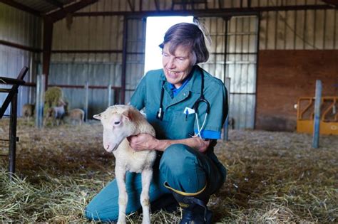 Cornell University College of Veterinary Medicine on LinkedIn: #cornellvet